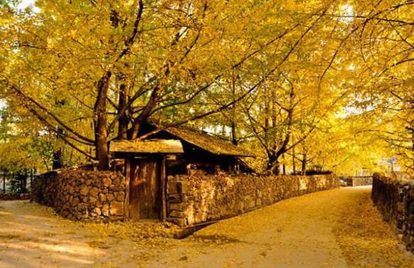 徐霞客关于腾冲火山的描写,徐霞客走过最长的路线腾冲