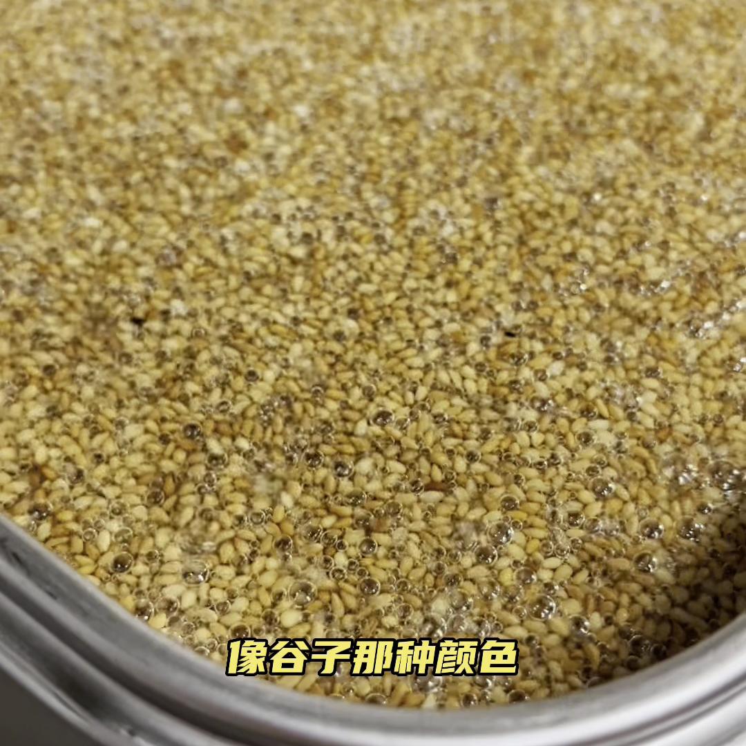 我们的第二个镇店之宝“芝麻油”无偿分享给大家@DOU+小助手