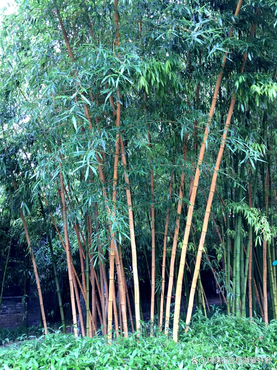 扬州旅游攻略一日游推荐图,扬州旅游三天两夜自由行攻略