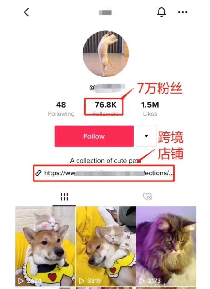 tiktok跨境电商独立站带货佣金,tiktok和跨境电商平台合作