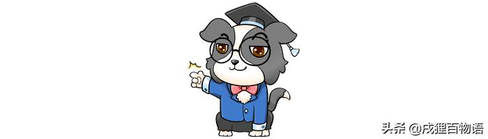 狗狗正常便便是怎样的,狗狗便便怎样算正常