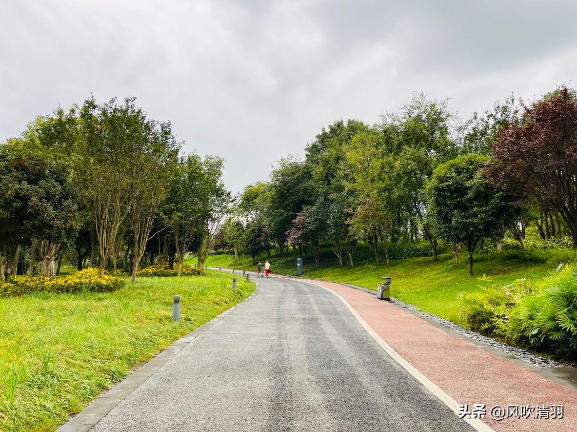 成都免费最适合夜晚的公园,成都城区公园游玩