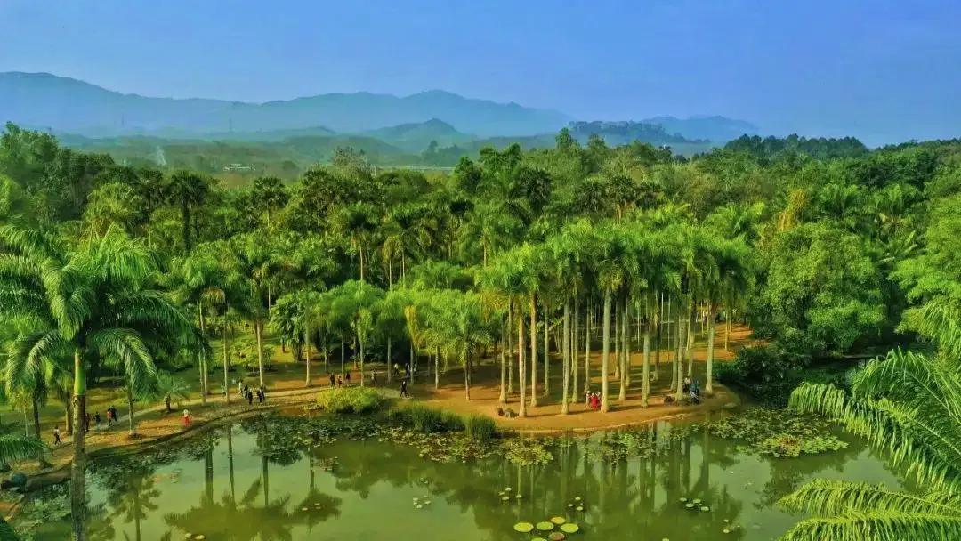 中南半岛各国立体地形,中南半岛和东南亚分布图