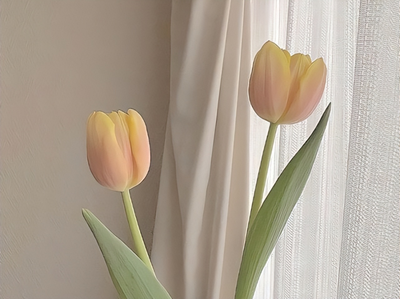 处女座能控制什么,处女座能驾驭巨蟹么