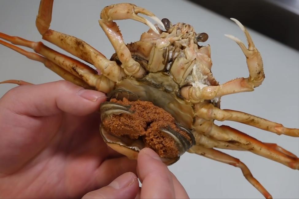 去日本必吃的五种海鲜,到日本必吃的饕餮美食