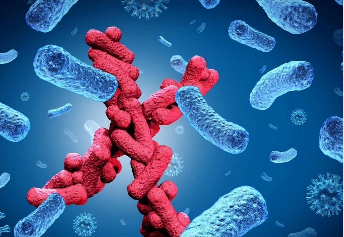 雌激素有助抵御尿路感染吗,雌激素导致的尿路感染