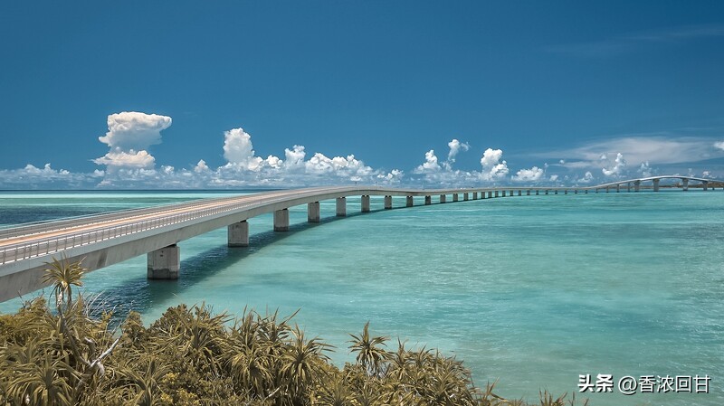 搭星宇航空飞日本