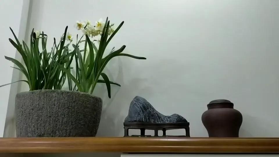 自渡是一种能力也是一种无奈,自渡是一种能力的句子