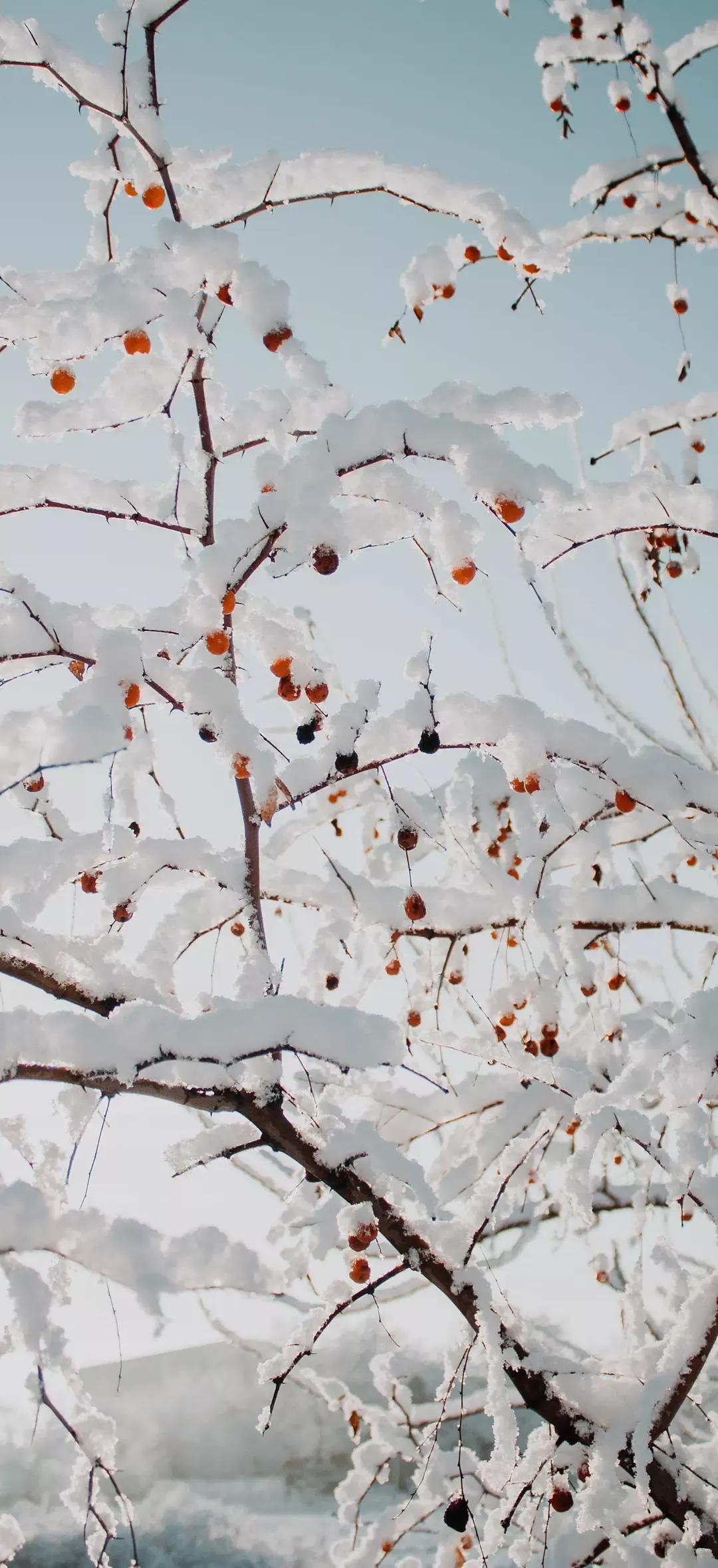 风生水起壁纸高清无水印,美女全屏无水印高清壁纸