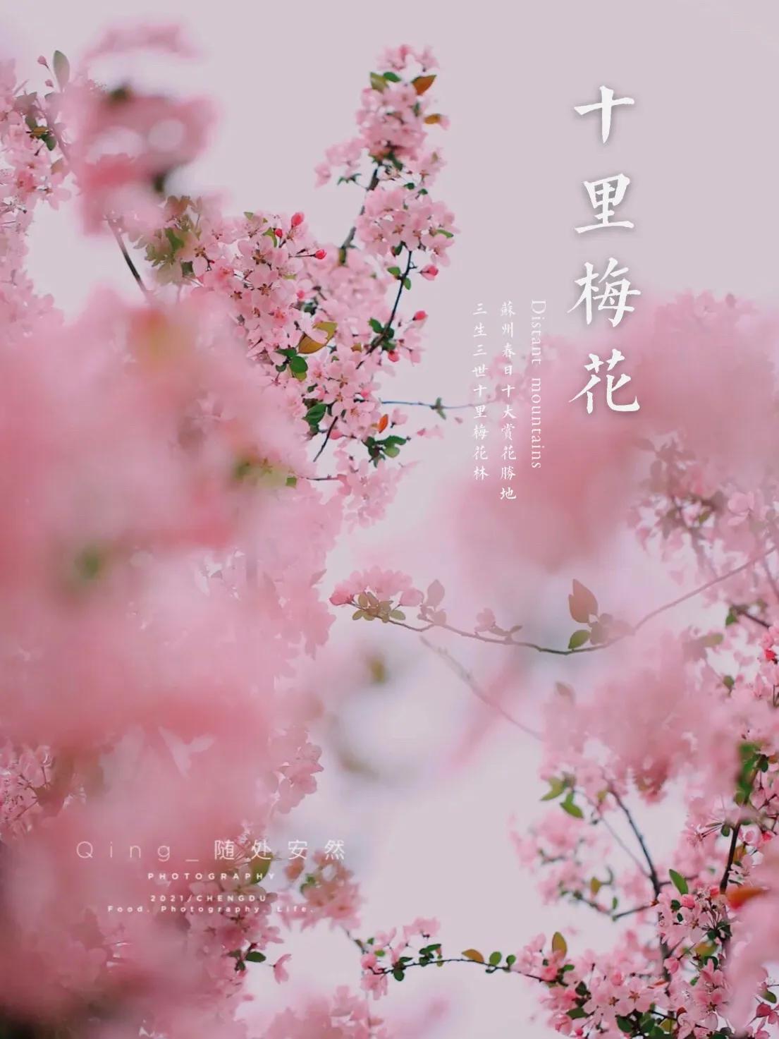 苏州儿童网红打卡地有哪些,苏州网红打卡地先后顺序