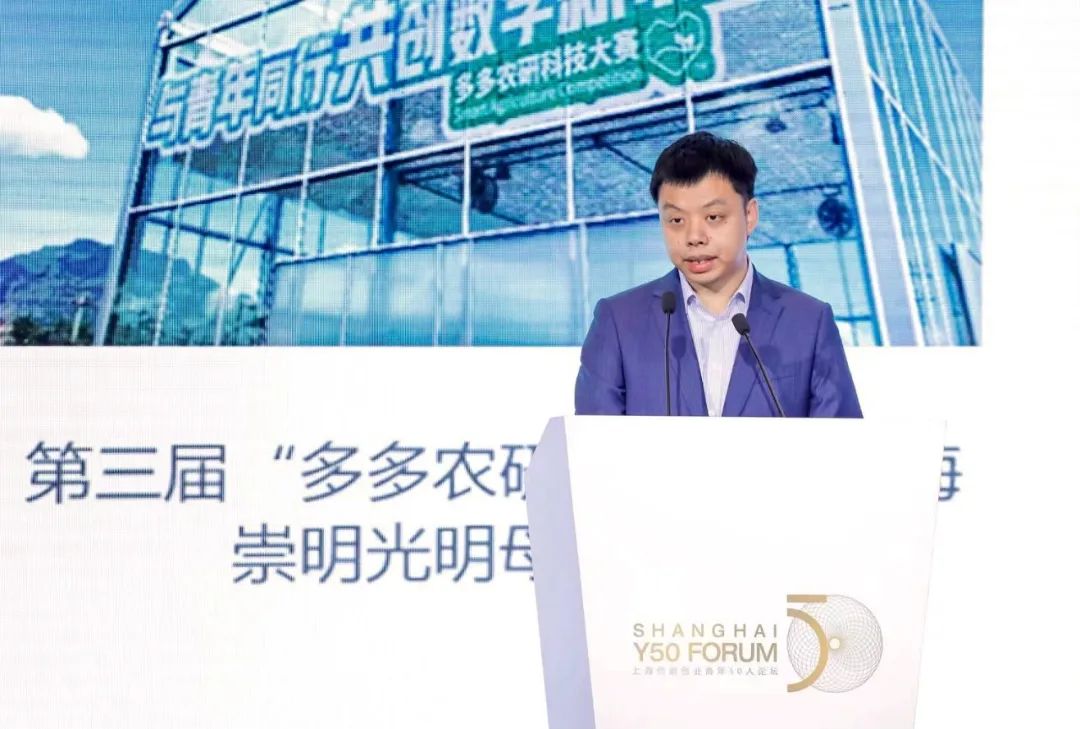 拼多多怎么成为官方,拼多多如何成为新手