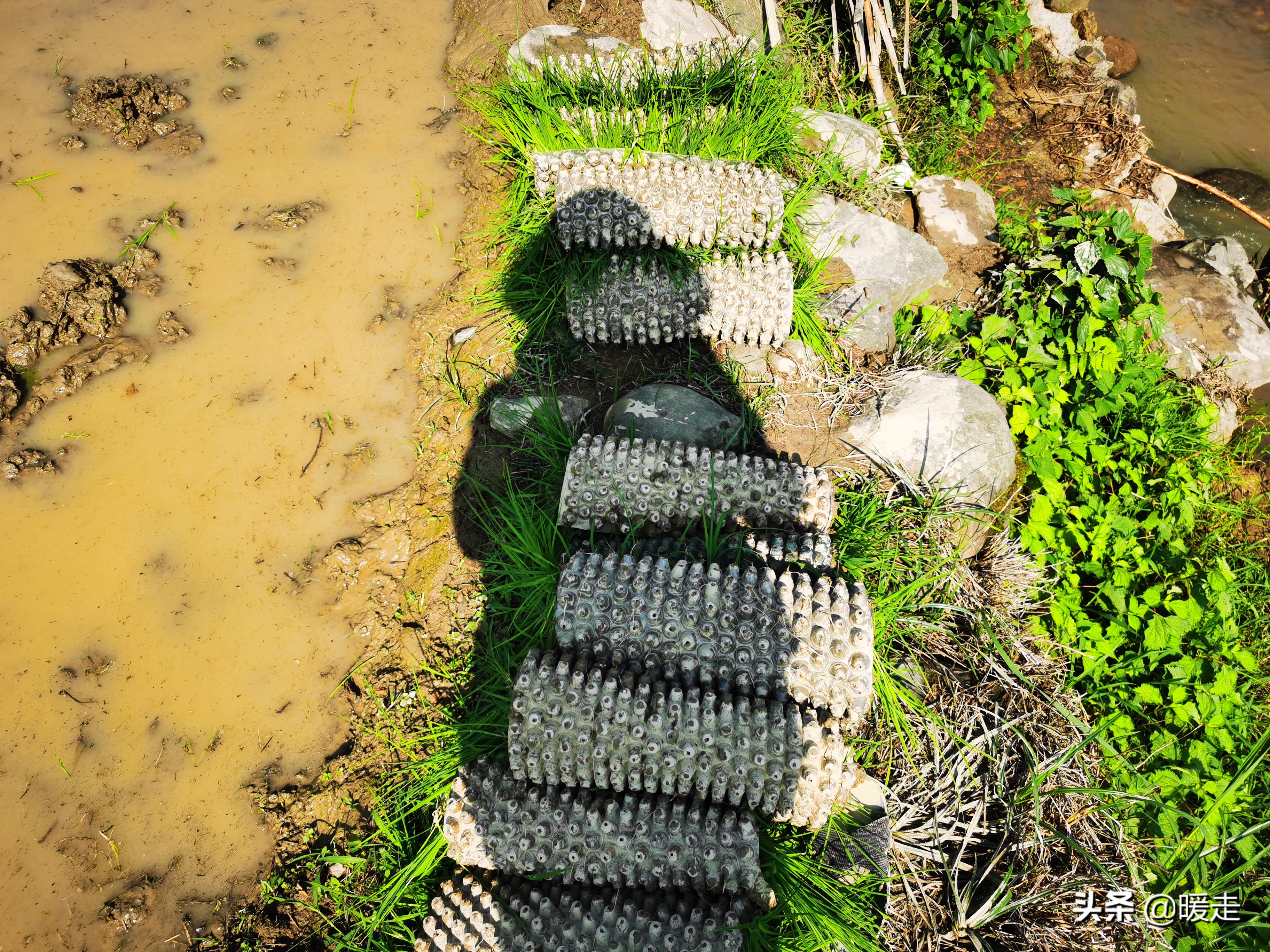 广西农民种田,乡村种田的生活视频