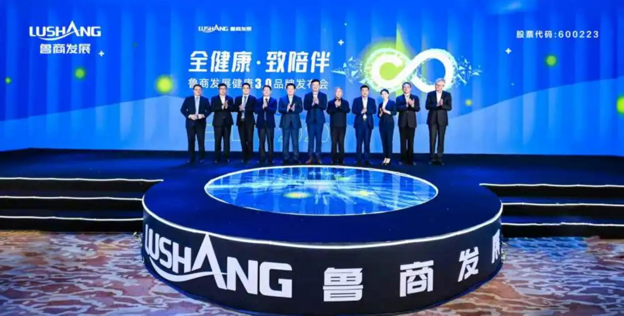 鲁商发展剥离地产后总资产及负债,鲁商发展的经营项目