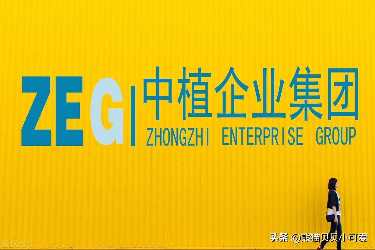 中植系3.72万亿资产哪去了,中植系崩塌是怎么回事