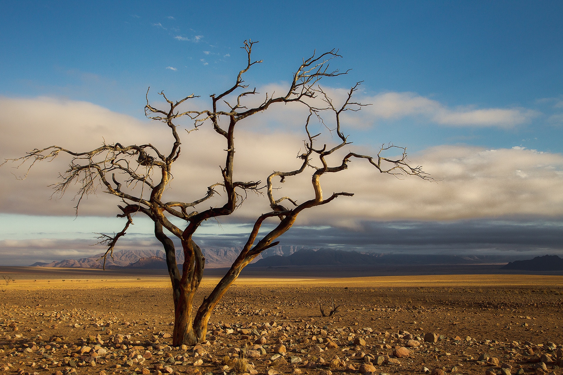 摄影五大景别简单介绍,风景摄影深度解析