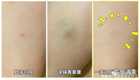 夏季必备泰国青草膏,泰国卡瓦库德薄荷膏种草视频