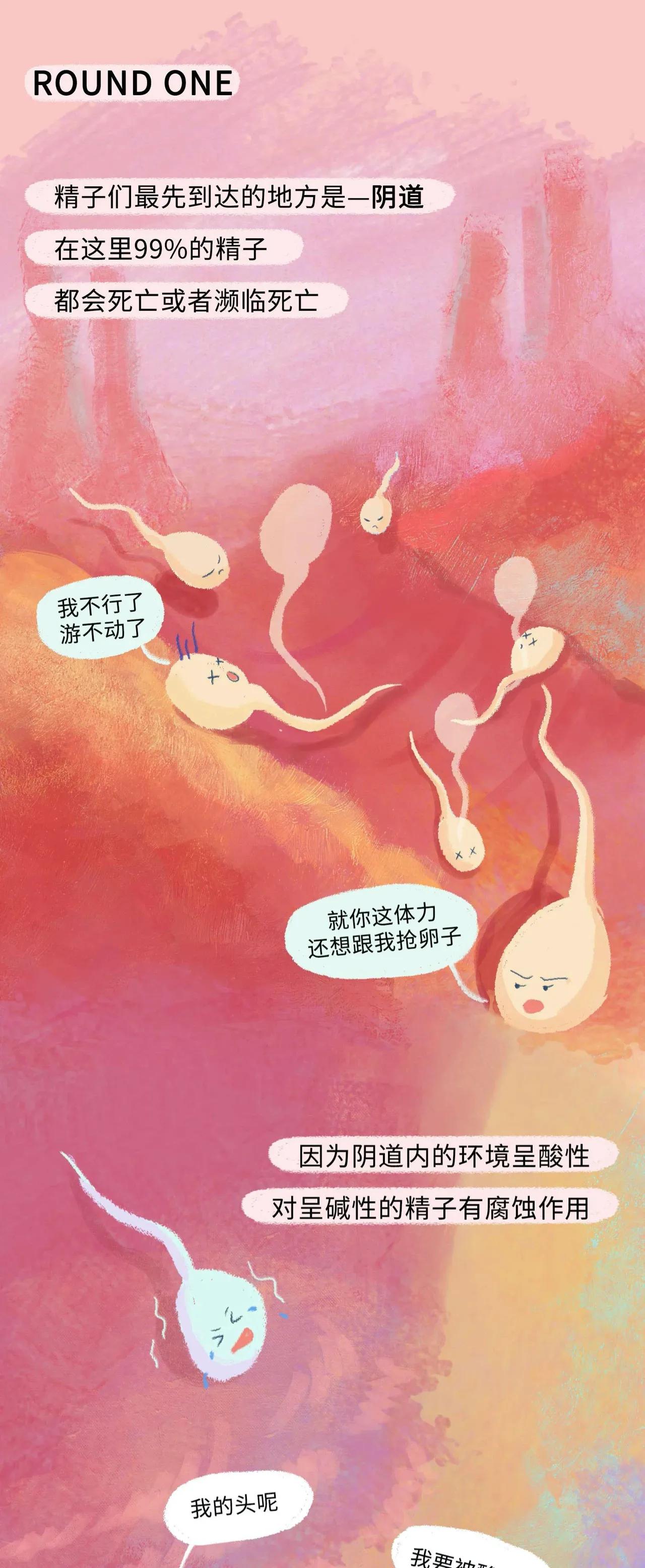 精子进入女生体内的全过程