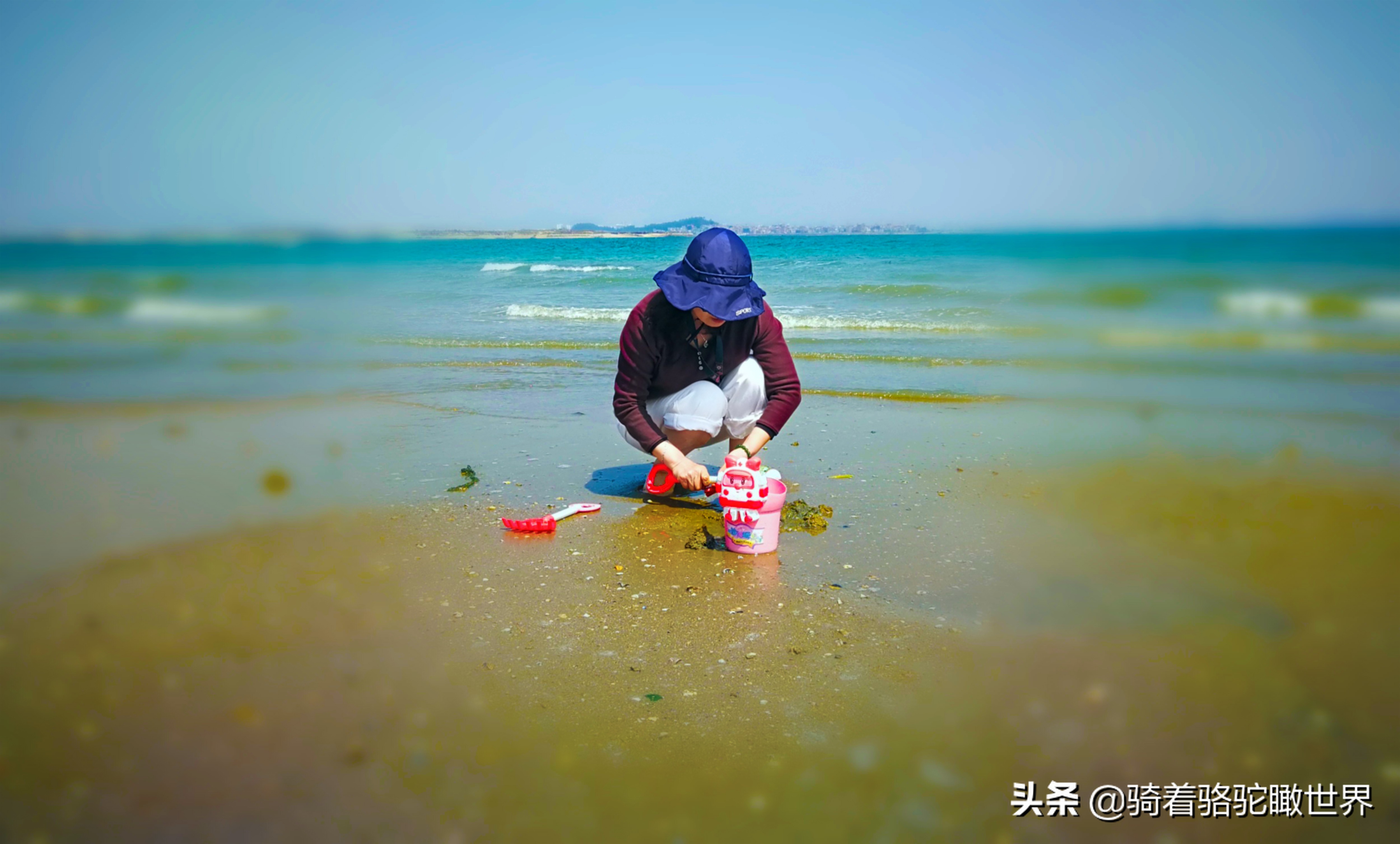 厦门彩虹沙滩哪一段赶海最好,黄金海岸赶海拾贝最佳地点