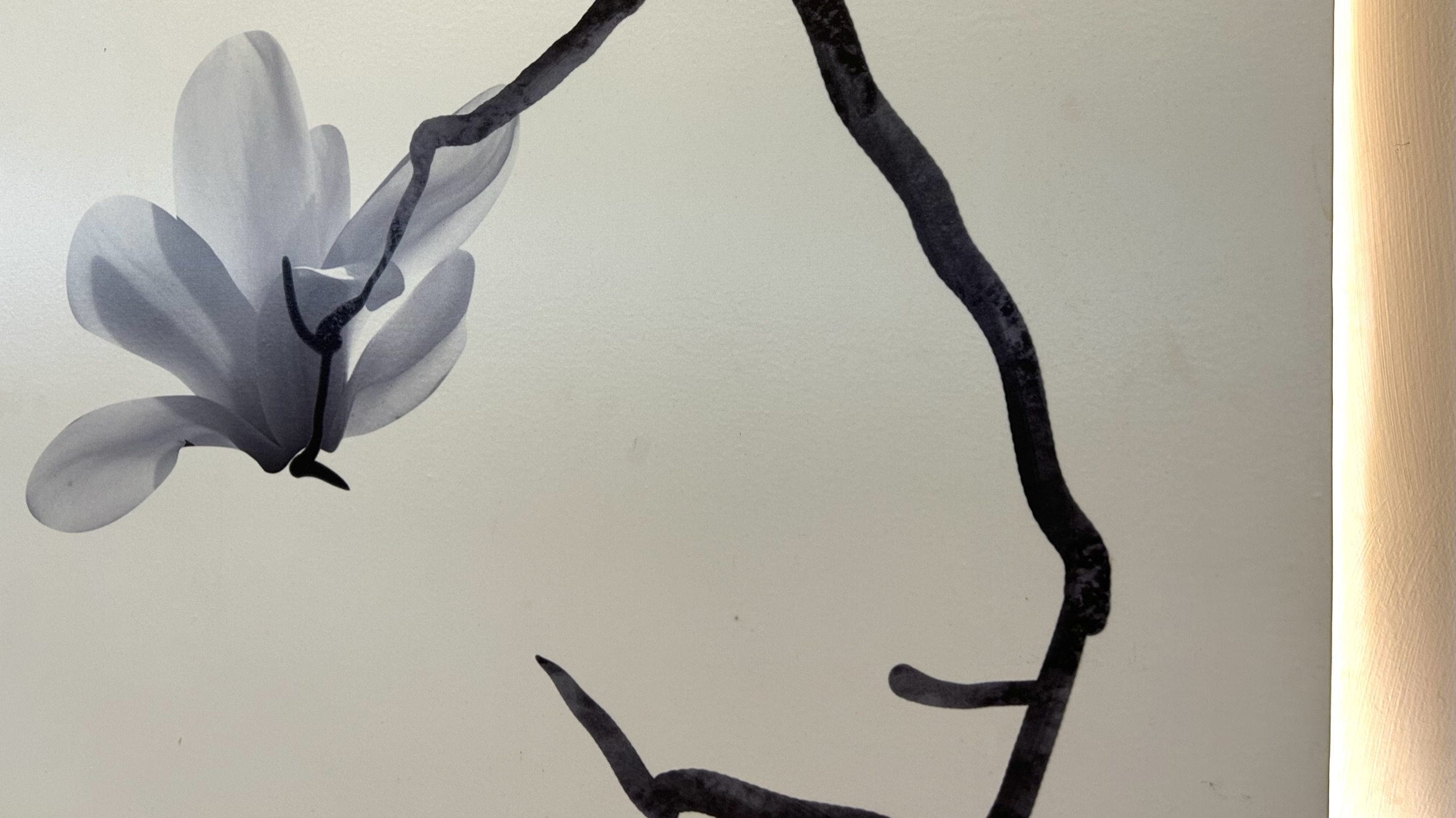 来济宁逛济宁,济宁市区攻略一览表