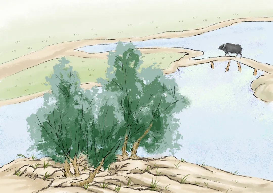 古代哲理笑话有趣有深意,古人笑话很经典每日一笑