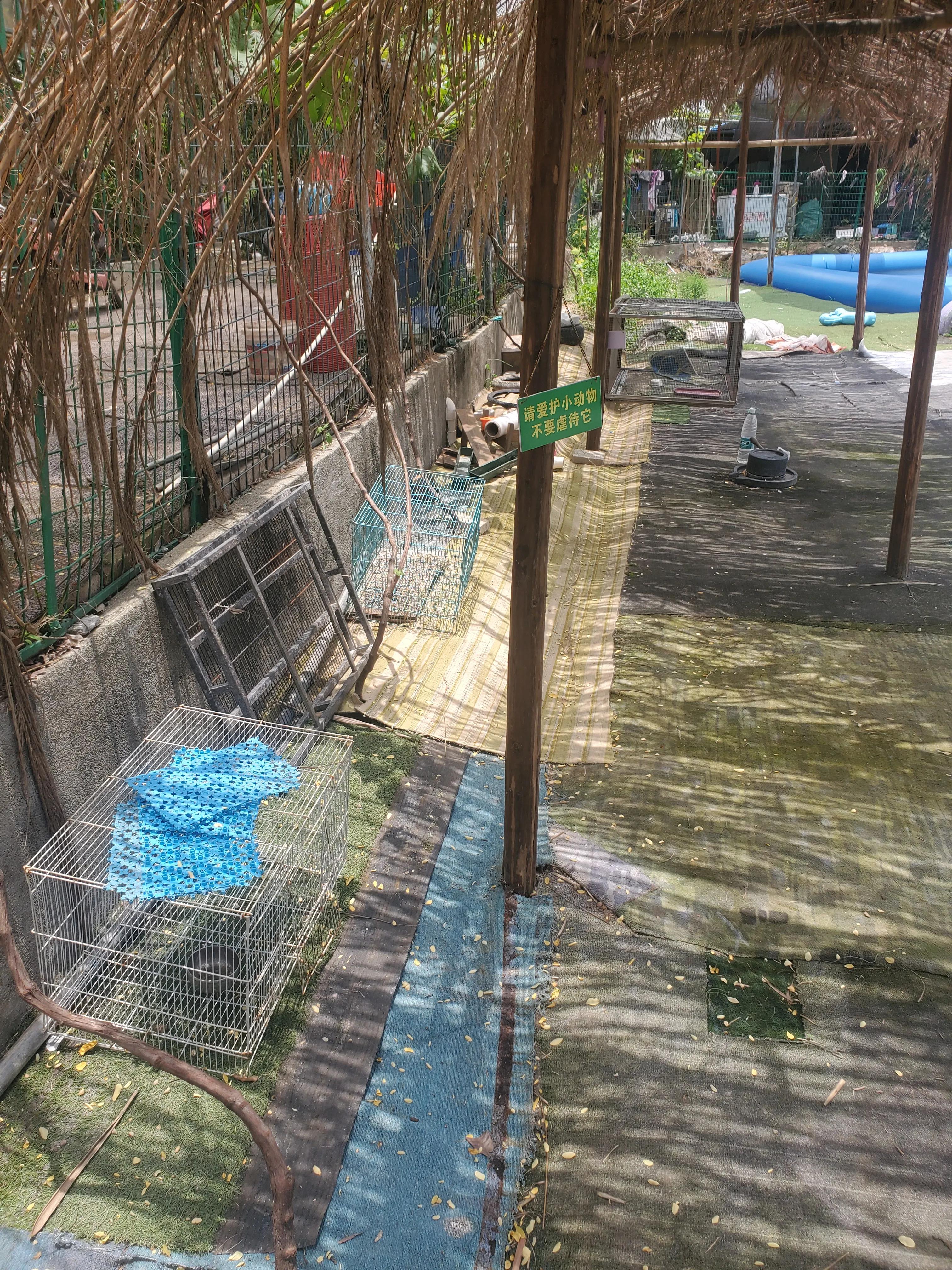 深圳踩坑亲子游之“女博士生态庄园”