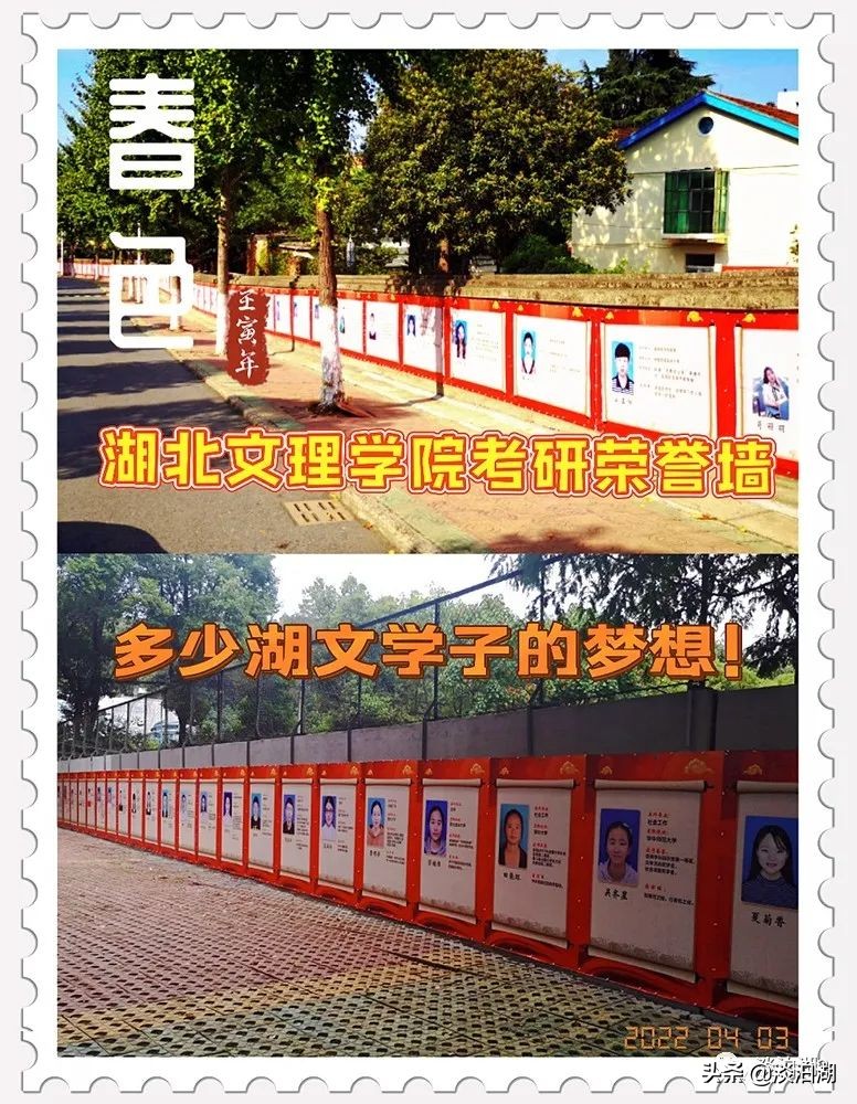 又一朵湖文“格桑花”盛开!音乐女孩跨专业考研上岸