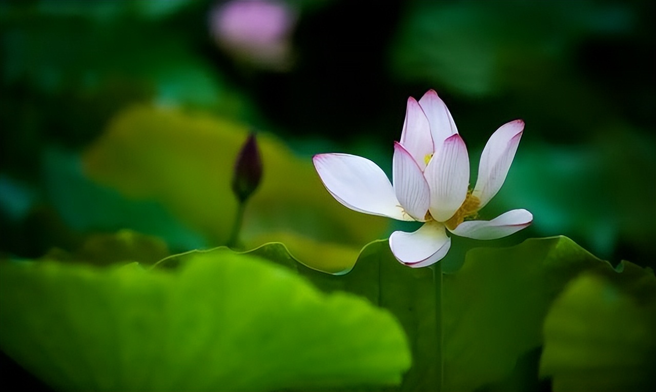 浮躁的时代读书怎么样,浮躁的年代诗歌