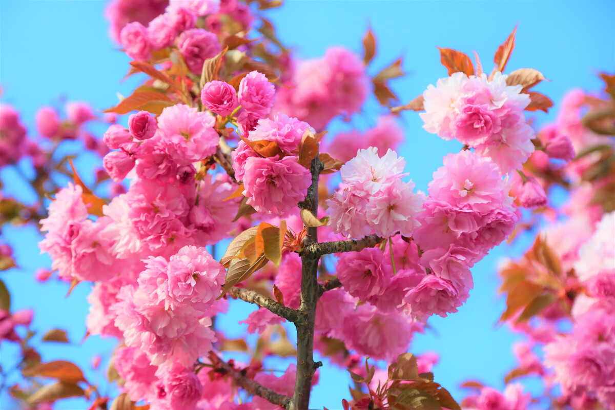 失眠其实很简单,失眠彻底治愈的七大方法