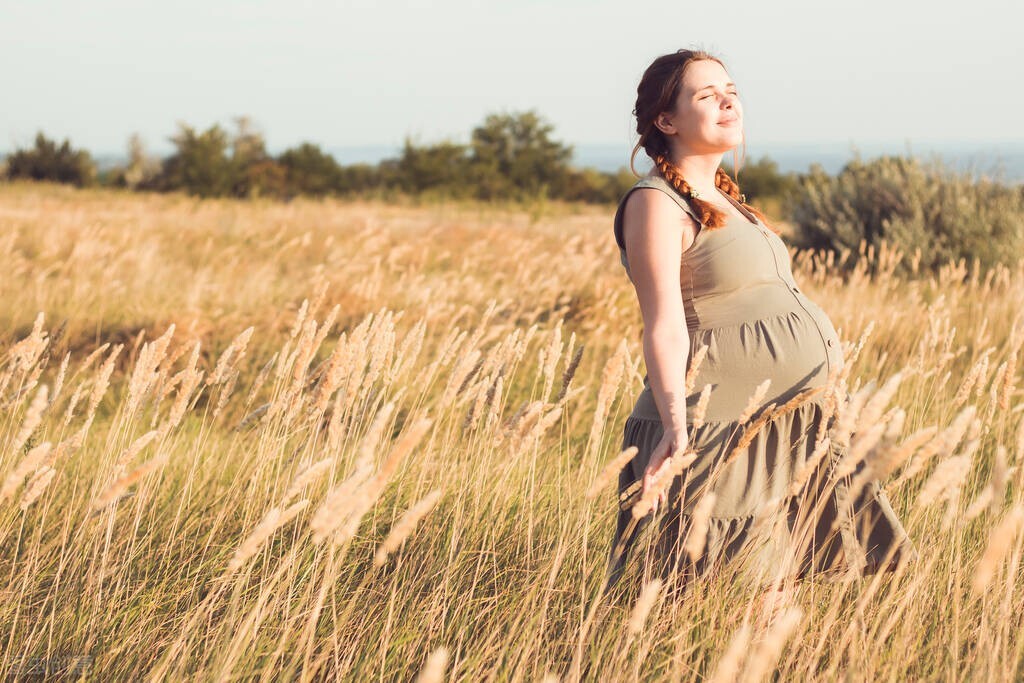 孕期宝宝的变化1-12月,孕期激素变化