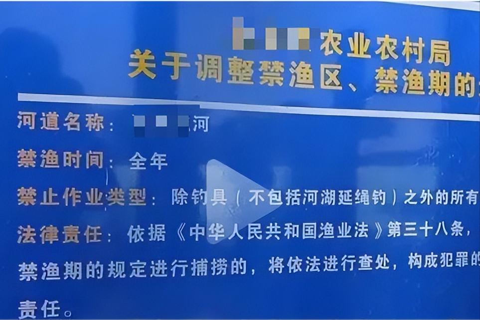 北京一对夫妻深夜下河捞田螺被抓,在河边捞300斤田螺被判刑