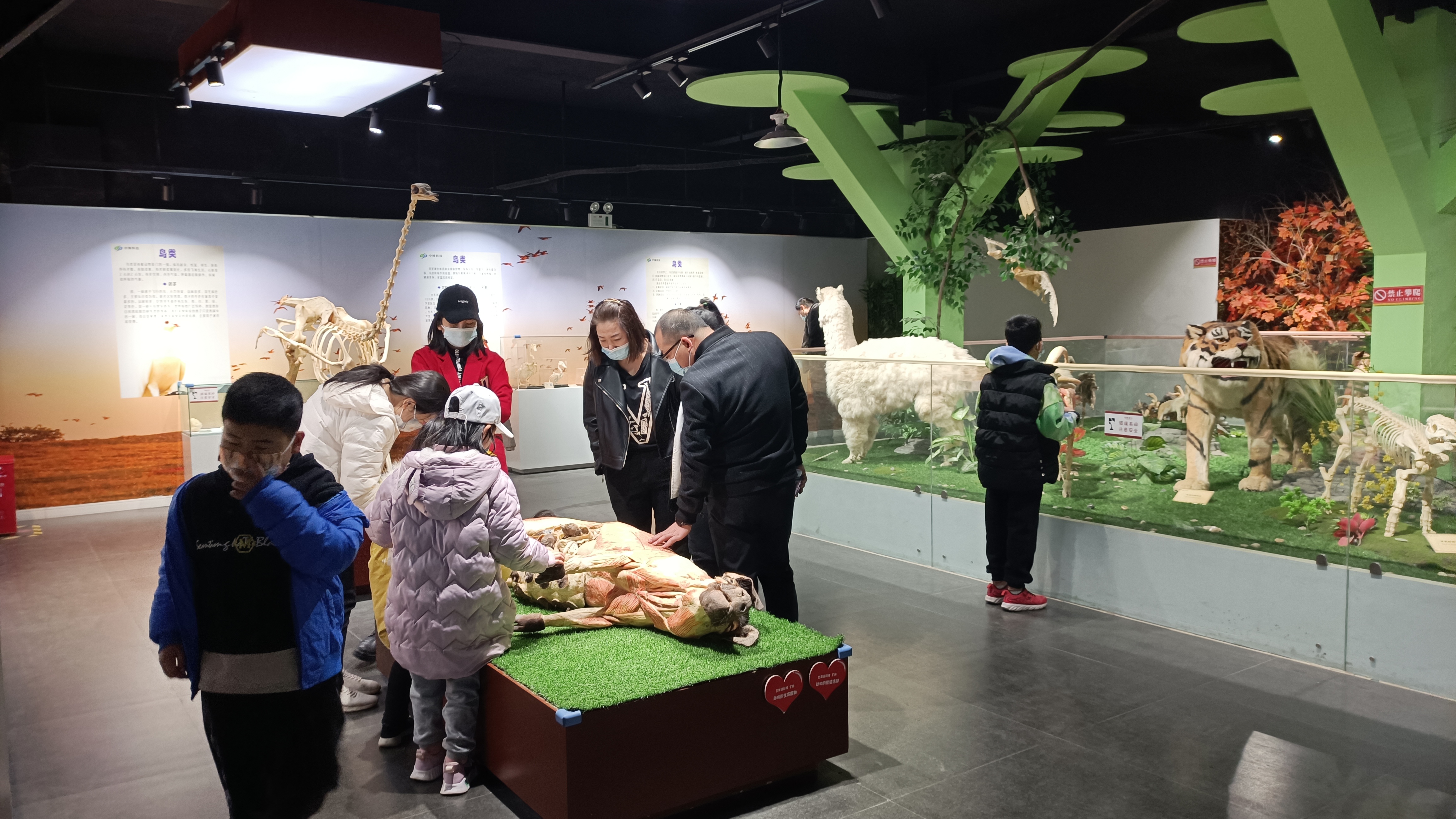 不负*光春**，来郑州人体科学院探寻生命进化证据