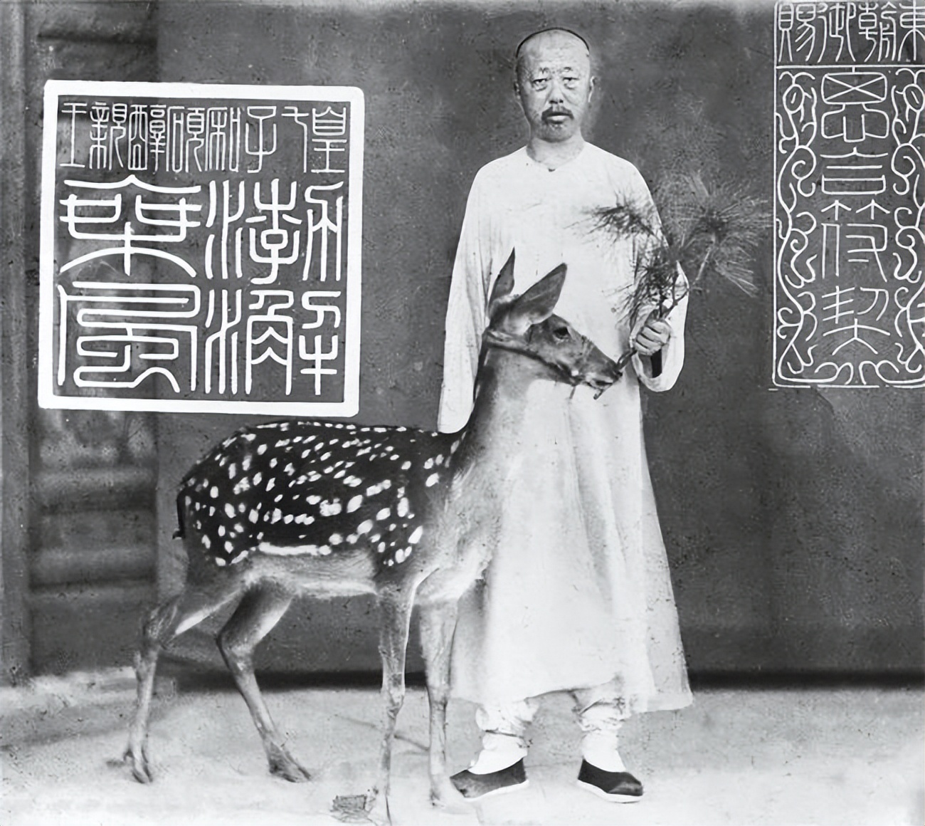 李鸿章的照片真实,不看镜头拍正面还是侧面