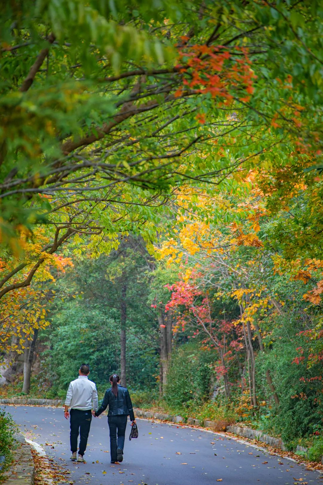 美得正当时！这个秋天，济南九如山值得你为之奔赴