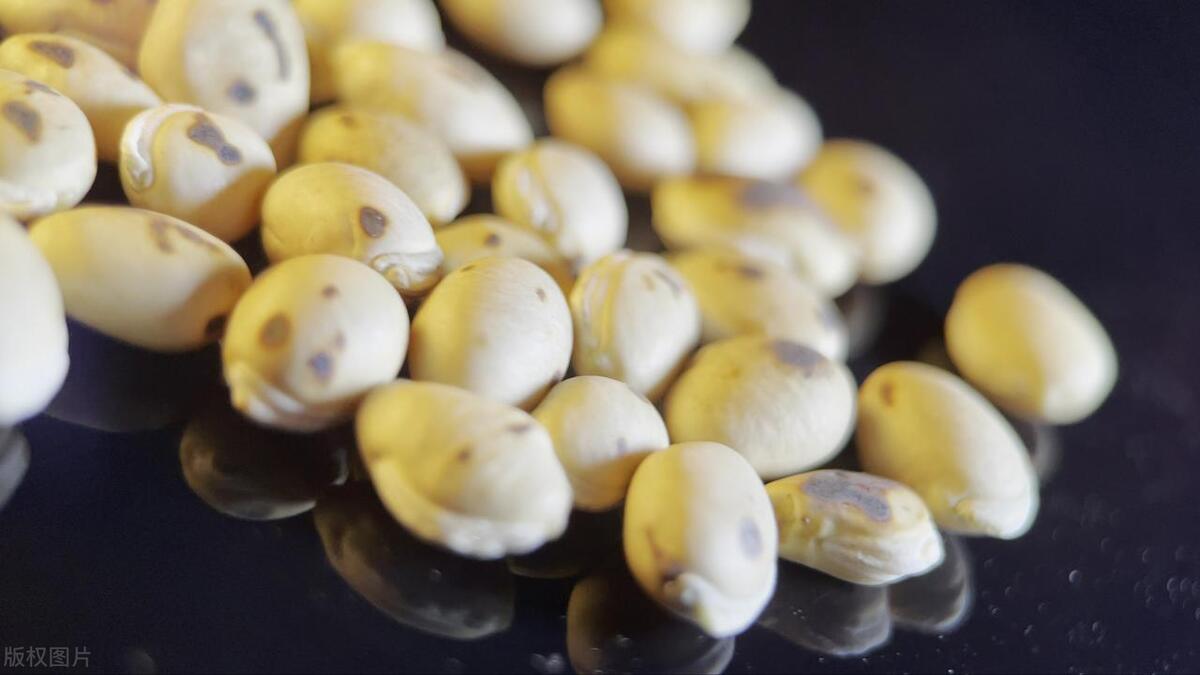 中医皮肤很油腻是什么原因,中医认为脸部油腻的原因