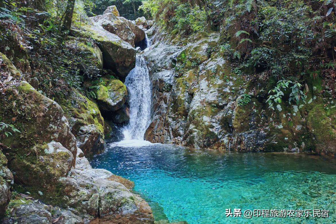浙江高山避暑农家乐,浙江避暑最好包吃住的农家乐推荐