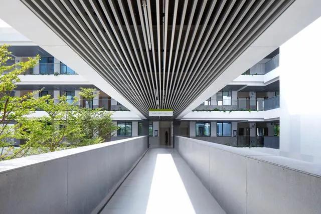 装修天花材料图片,天花墙体装饰材料