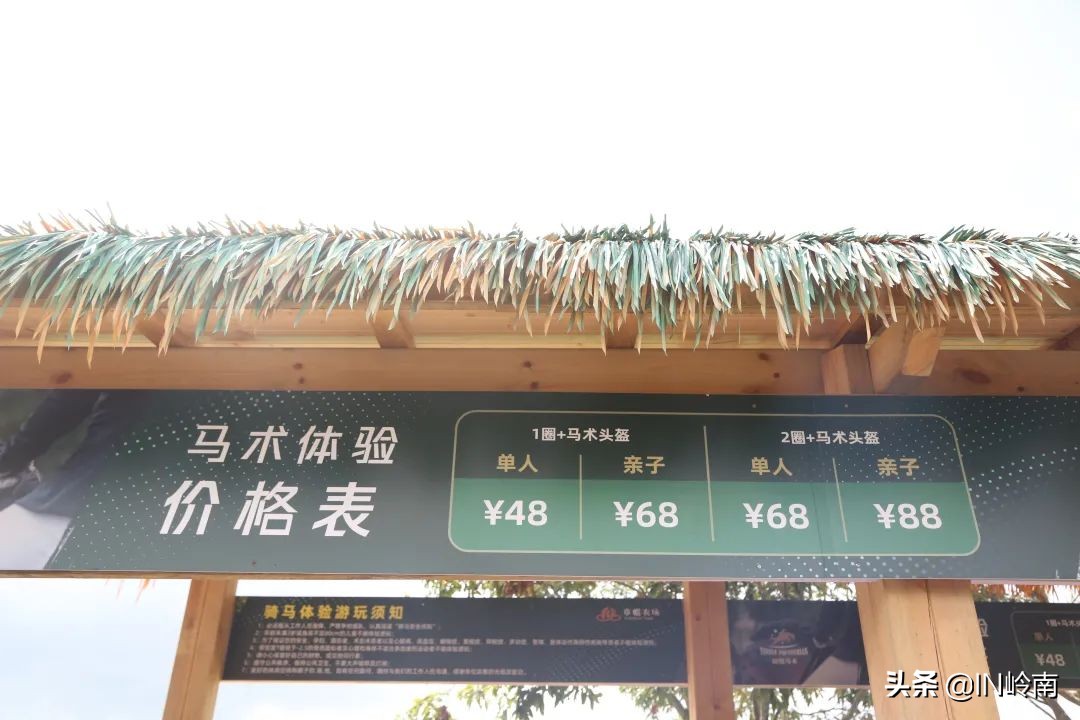 音乐潮玩市集白云公园站,潮玩街区音乐集市仁寿