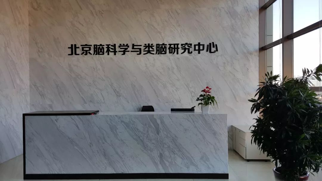 打造全国领先世界一流的科创高地,科创建设重大成果