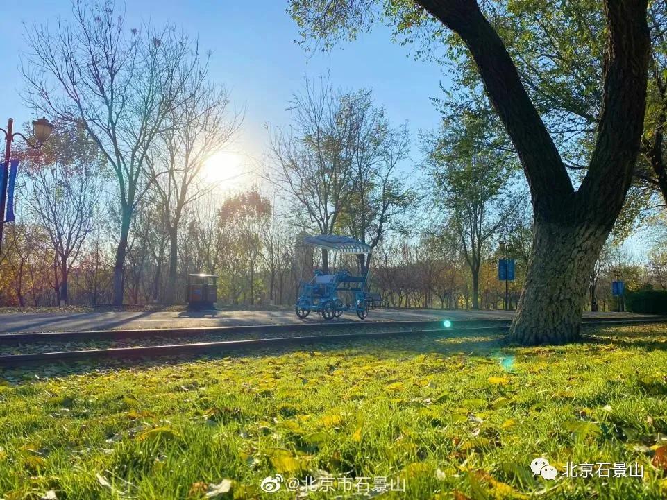 五年蝶变展新姿,五年蝶变完整版