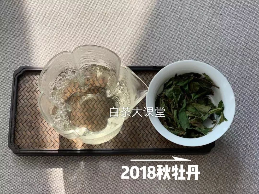 老白茶的药香到底是什么样的,老白茶有桂花香