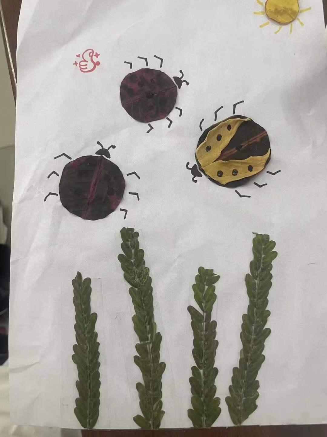 双减优秀案例从哪几个方面写,双减作业案例获奖范文