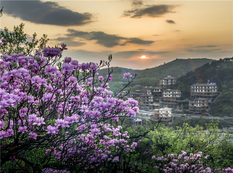 519中国旅游日宣传活动丰富多彩,519国际旅游日活动