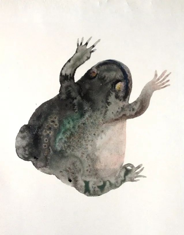 李知弥蔬果图,李知弥作品苦瓜