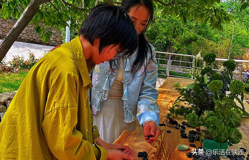 蓝田荞麦花海和高山草甸,西安荞麦花海旅游