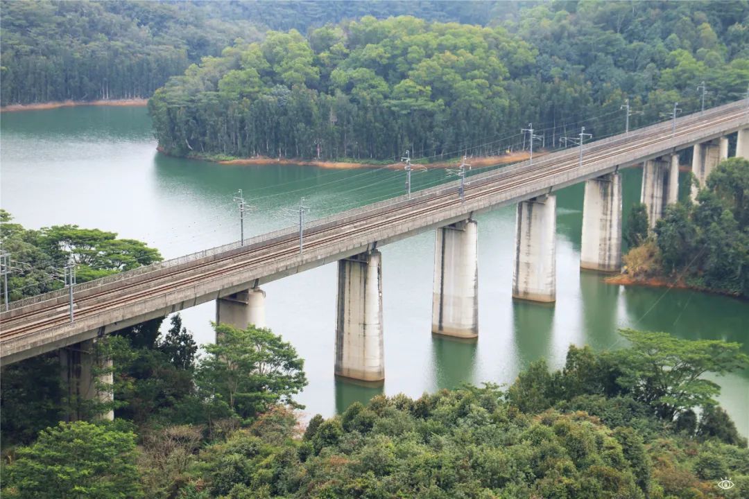 深圳周末休闲放松的好地方有哪些,周末去哪玩深圳推荐几个地方