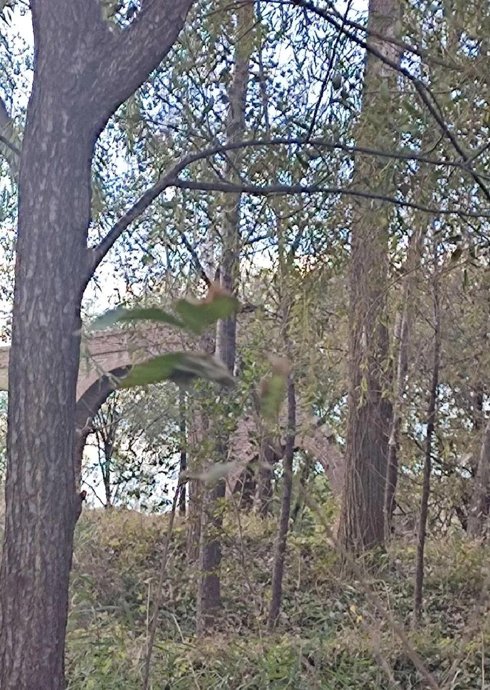 龙湾潭导览图,龙湾潭游览路线