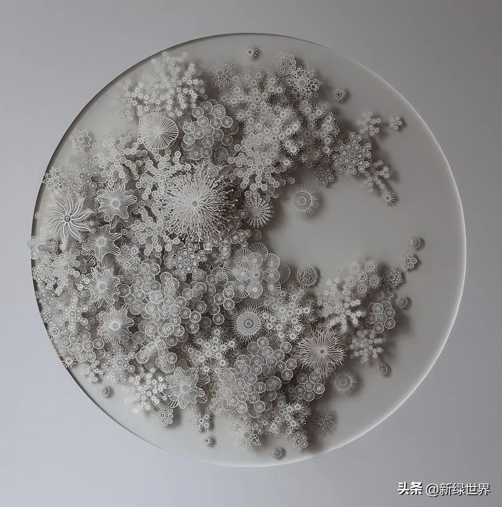 一组纸艺作品,令人惊艳的纸艺作品