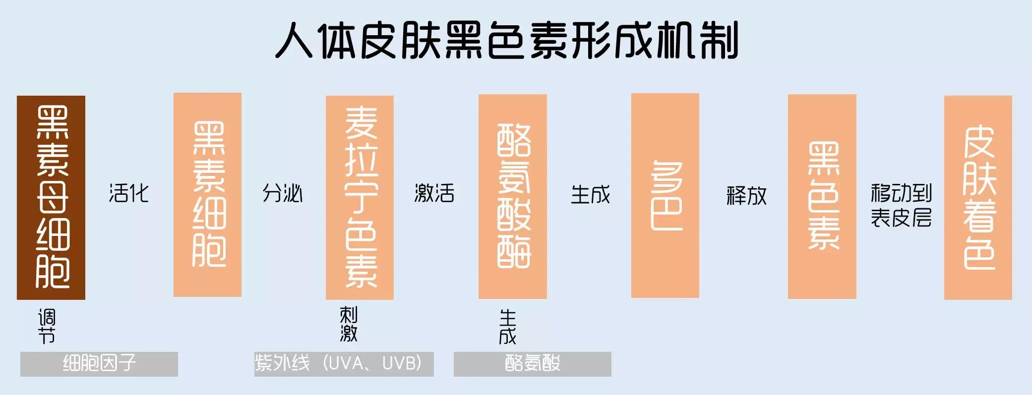 4-丁基间苯二酚是什么,重庆四丁基间苯二酚纳米乳配方