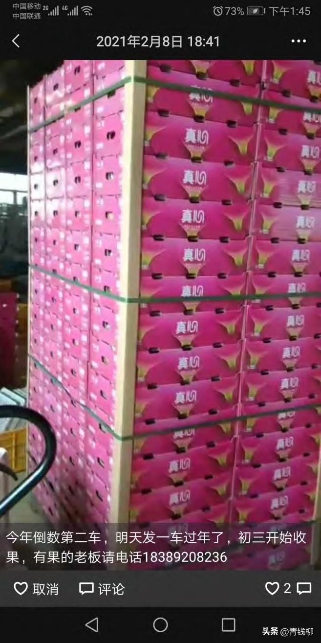 海南红心火龙果鲜果冻干,火龙果包装打法