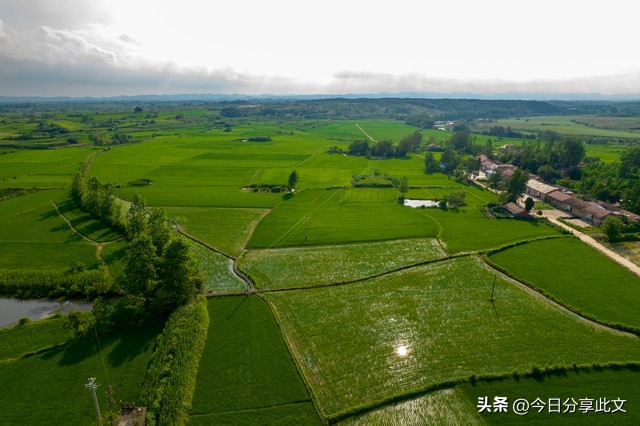 农村土地“统一耕种”详解,农村土地真的要统一耕种吗